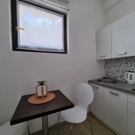 Apartment Lion - Free Parking Umag
