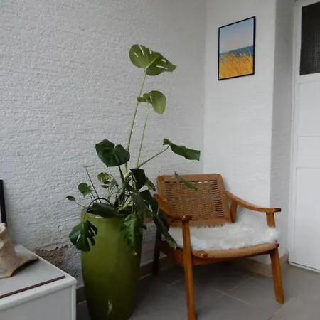 Lion Apartman