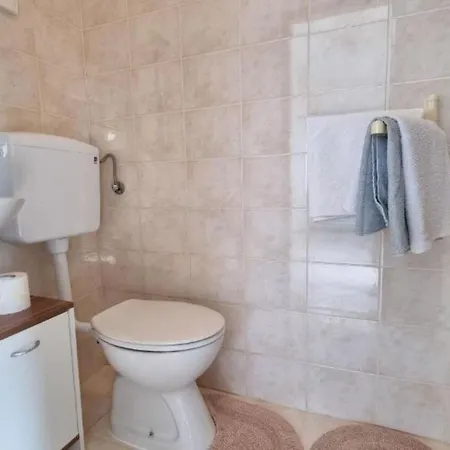 Lion Apartman Umag